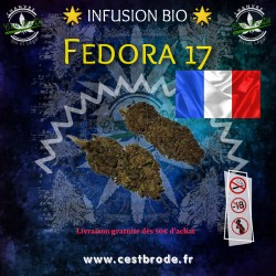 French Fedora 17