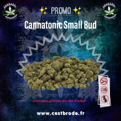 Cannatonic Small Bud